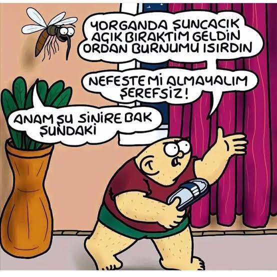 Ülkemizde sivrisinekler birkaç güne uyanıyormuş, günaydın demeye hazır mıyız 😃?