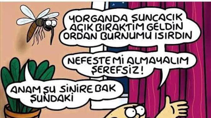 Ülkemizde sivrisinekler birkaç güne uyanıyormuş, günaydın demeye hazır mıyız 😃?