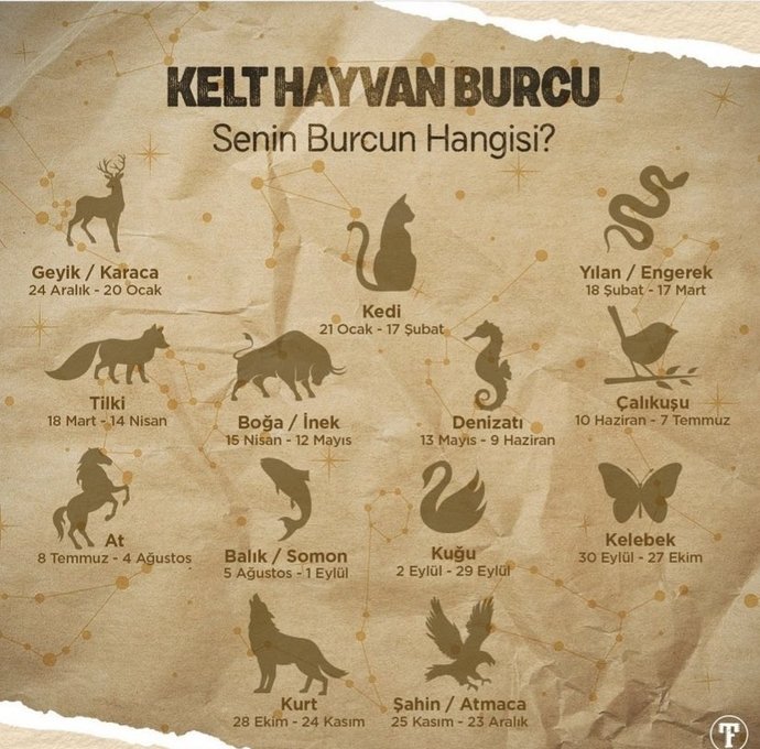 Kelt hayvan burcunuz hangisi