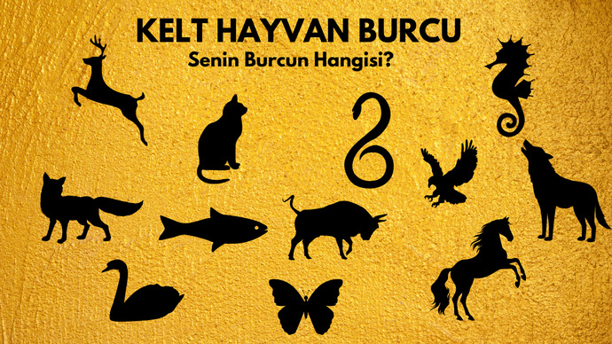 kelt burcu özellikleri