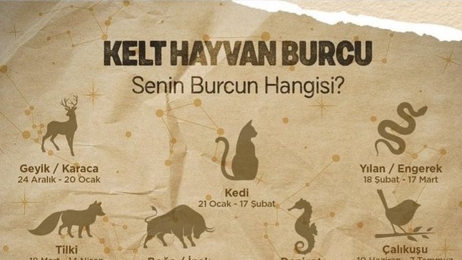 Kelt hayvan burcunuz hangisi?