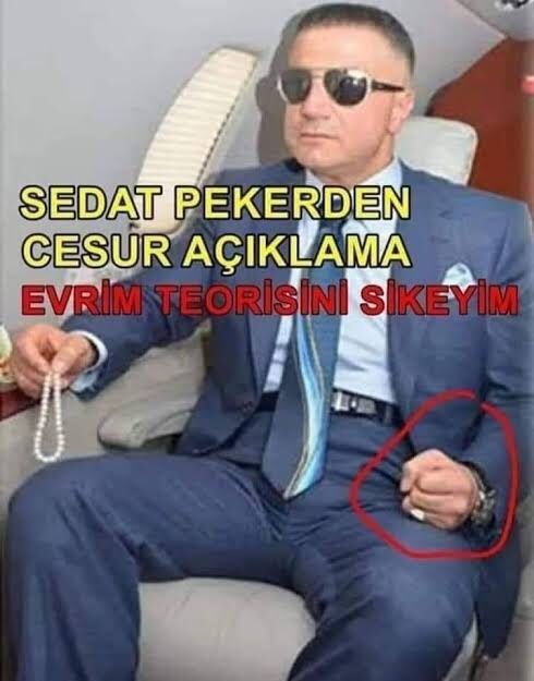 Evrim teorisine inanıyormusunuz?