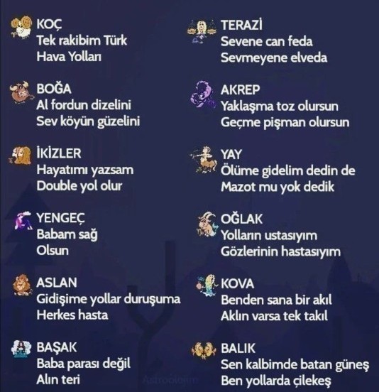 Burcunuza göre kamyon arkası yazıları?