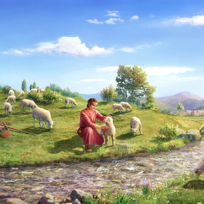 🐑