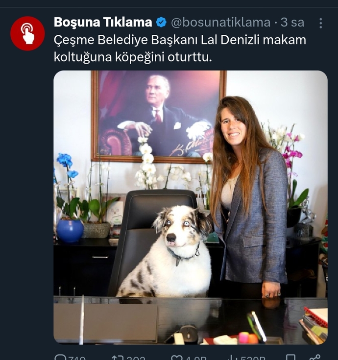 Hayvanlara insan gibi, insanlara hayvan gibi davranılması hakkında ne düşünüyorsunuz?