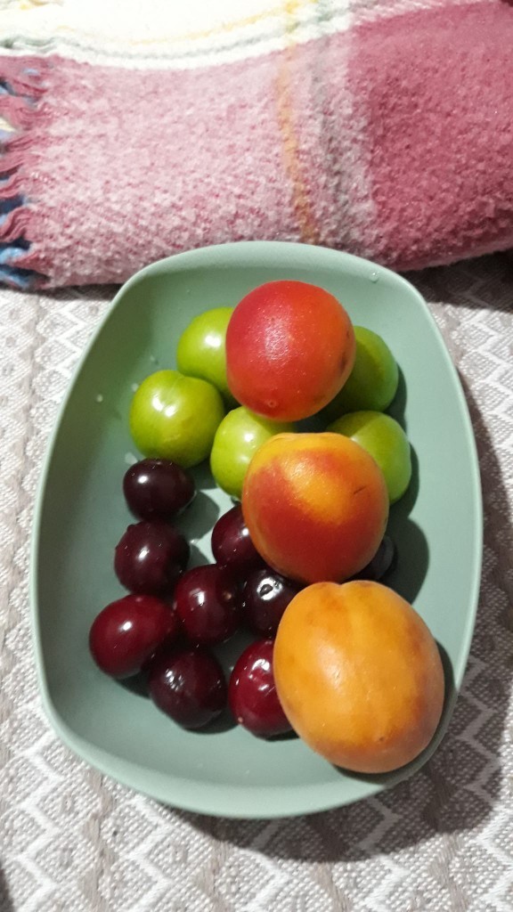 Sizin de meyve tabağınızı hazırlayanınız var mı?