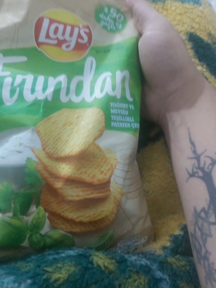 Sevdiğiniz bir cips var mı?