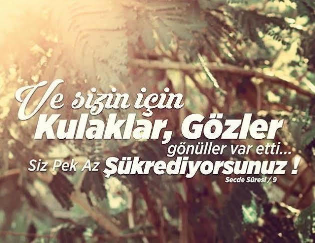 Allaha şükrediyormusunuz?