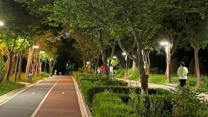 Akşamları dışarı çıkar mısınız?