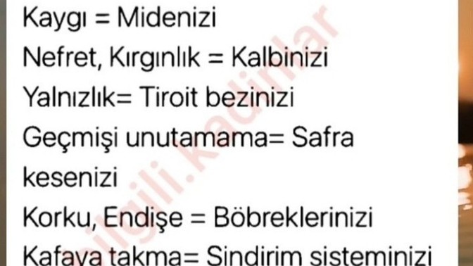 NE kadar sağlığınızı düşünüyorsunuz?