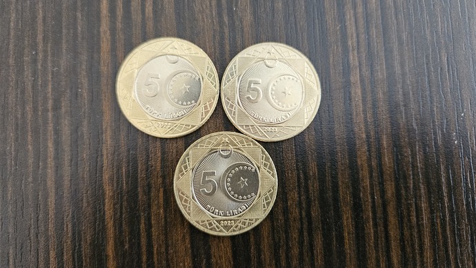 Yeni 5 TL'yi gördünüz mü?