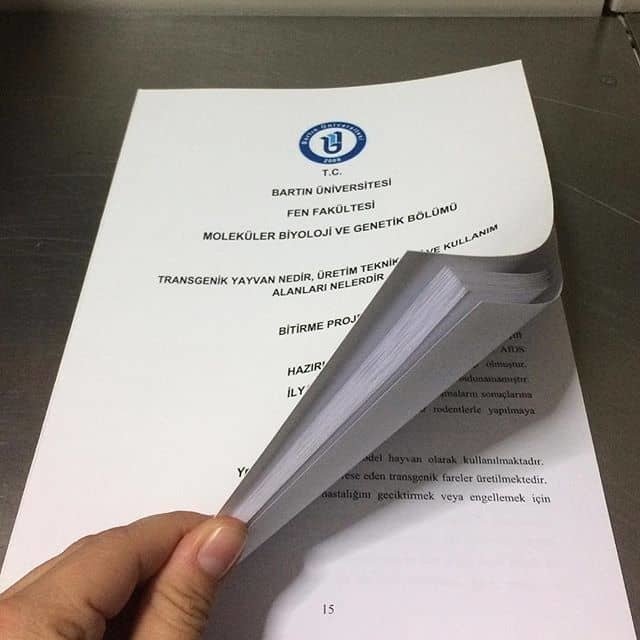 Fantezi deyince aklınıza gelen ne?