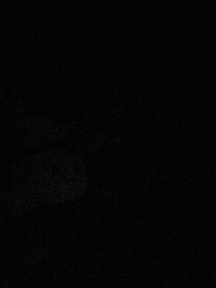 Geceye ne eşlik ediyor KS gececi tayfası, anlık durum ben de böyle sizden de anlık durum güncellemesi bekliyorum?
