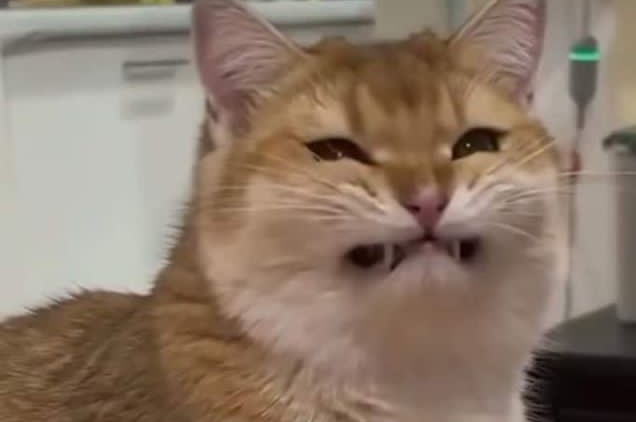 Sabahları bir tek ben mi böyle uyanıyorum?