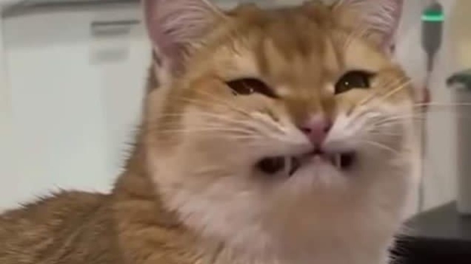 Sabahları bir tek ben mi böyle uyanıyorum?
