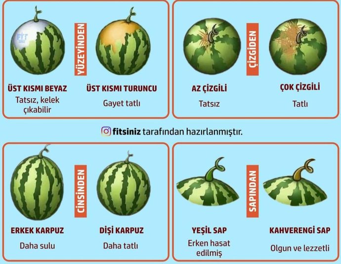 Karpuzun iyisini seçebiliyor musunuz?