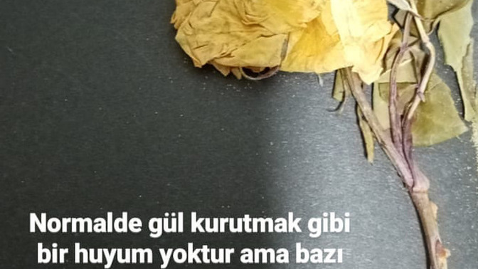 Sizi mutlu eden ve anısı olan şeylerin fotoğrafını çeker misiniz?