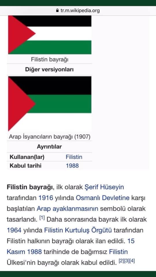 🇵🇸 Şu bayrağı koyup Türk düşmanlığı yapmayan yok ne ayak bunlar?