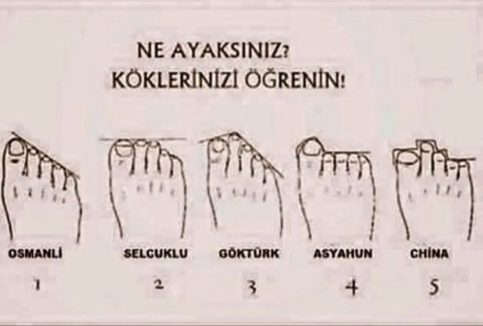 Siz ne ayaksınız?