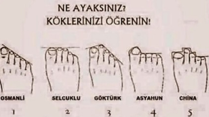 Siz ne ayaksınız?