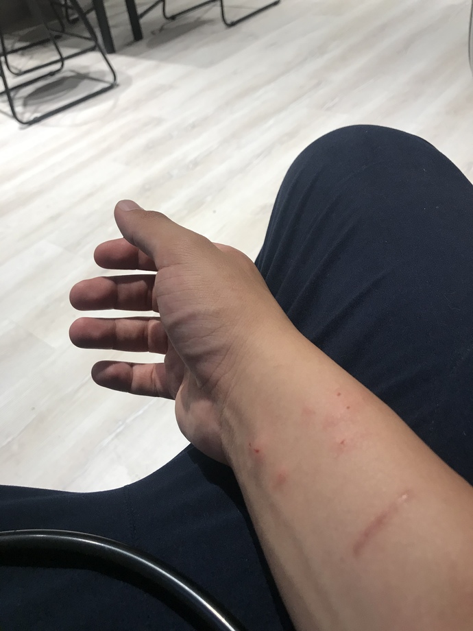 Hıncını alamadı üç kere ısırdı, sahip çıkın şu hayvansı çocuklarınıza?