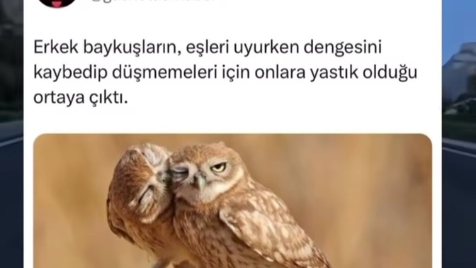Şöyle bi hanımcılık ne zaman kısmet olur dersiniz //?