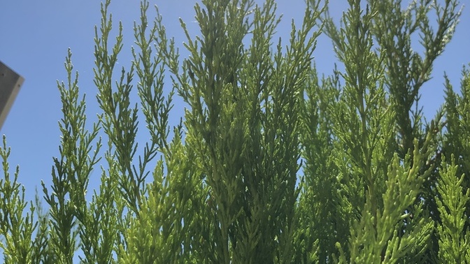 Bizim buralar ısındı, sizin oralar nasıl?