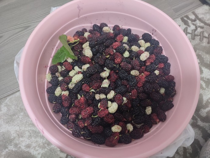 Tatlının yanında çay içerken çaya şeker atmalı mıyım?