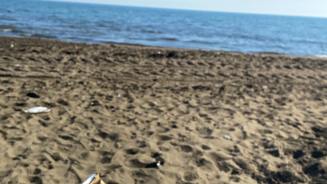Neler yapıyorsunuz bugün?