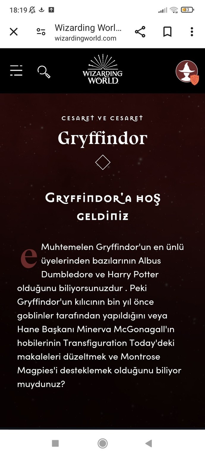 Harry Potter binalarından hangisine daha yakınsınız?
