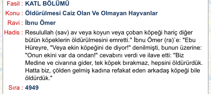 Kilis'te sokak köpekleri için protesto gösterisi yapıldı, bir hayvansever köpek kostümü giyerek olayı canlandırdı. Ne düşünüyorsun?