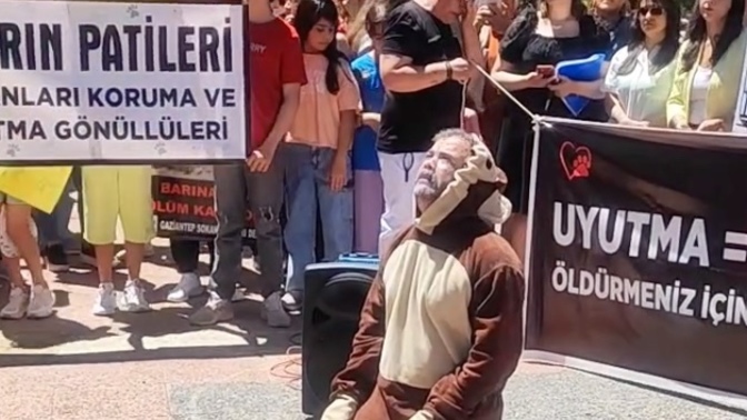 Kilis'te sokak köpekleri için protesto gösterisi yapıldı, bir hayvansever köpek kostümü giyerek olayı canlandırdı. Ne düşünüyorsun?