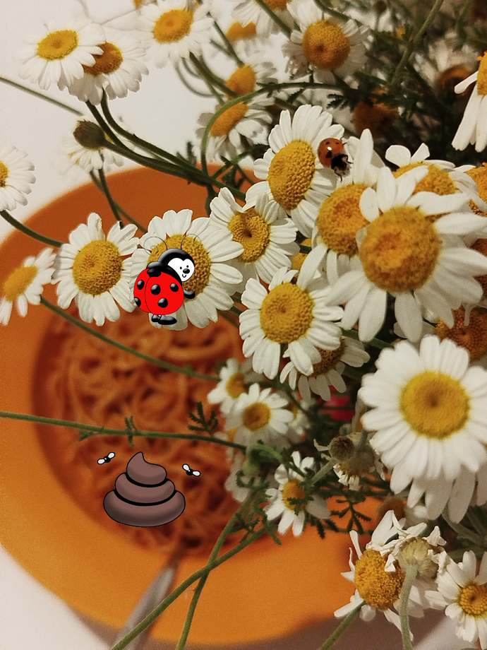 Makarnamın manzarası nasıl ama 🤣?