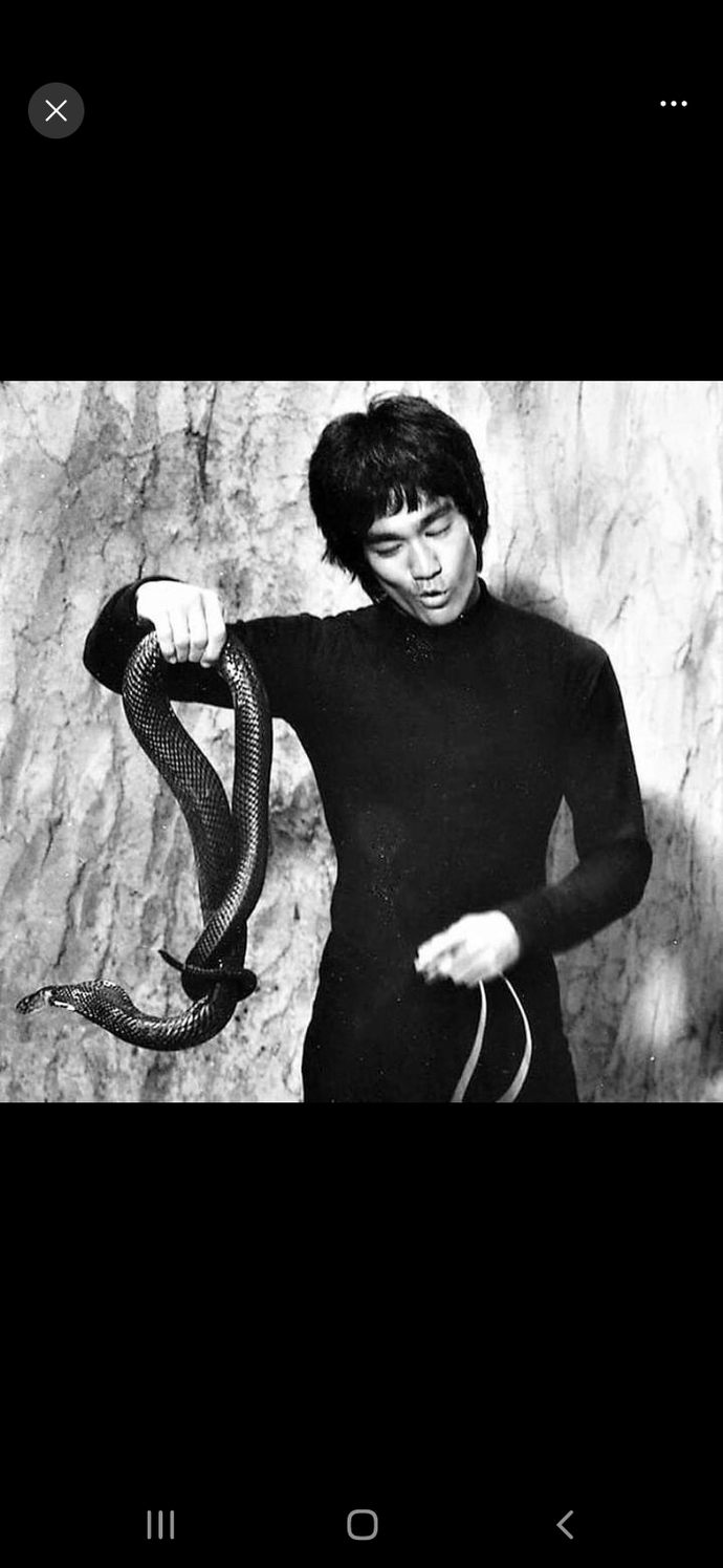Ahhh Bruce Lee ahhh.. bi sen anlıyordun benii birsennn🍷