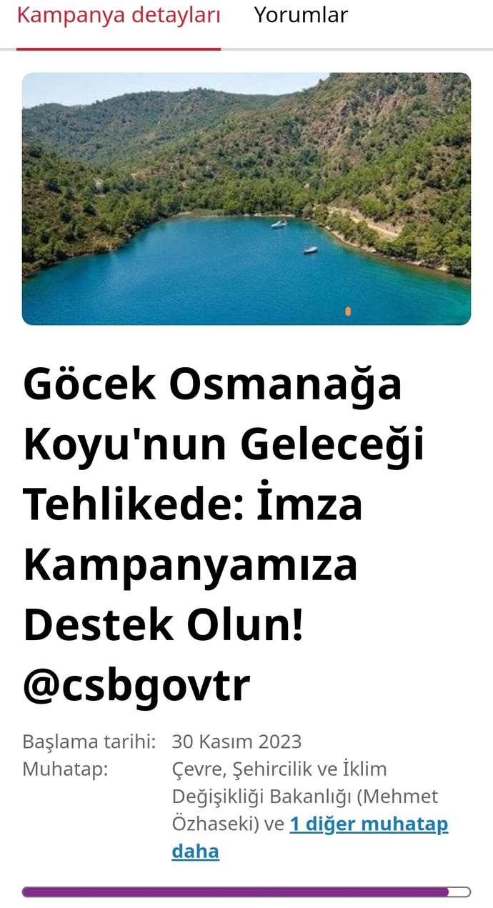 Kampanyaları sever misin?