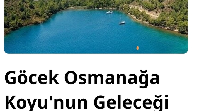 Kampanyaları sever misin?
