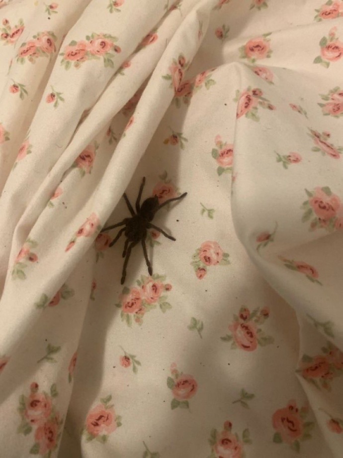 Sabah uyandığınızda bunu görseniz tepkiniz ne olur?