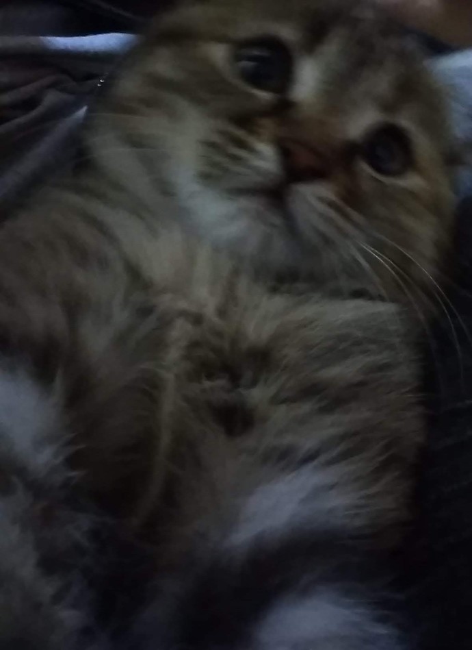 Güzel fotoğraf çekebiliyor musunuz?