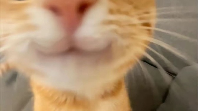 Güzel fotoğraf çekebiliyor musunuz?
