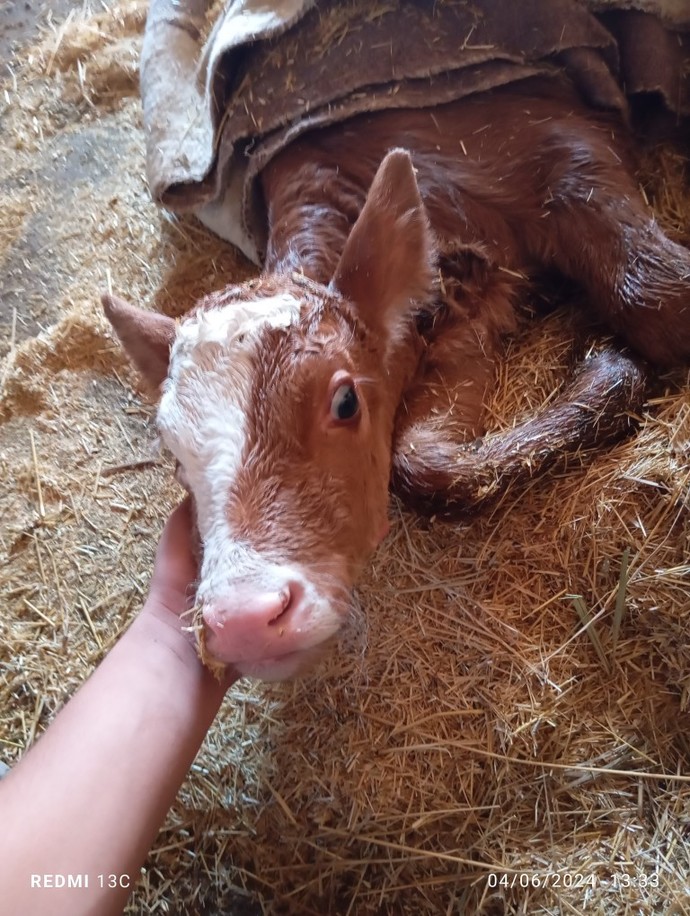 Hoppp geldi yeni üyemiz?
