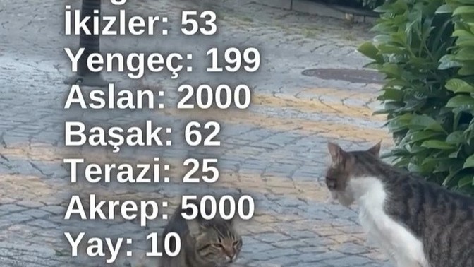 Kavgacımısınız yoksa sakın mi?