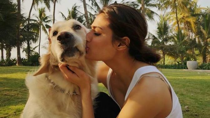 Köpek sahiplendim ama bana alışamıyor, ne yapmalıyım?