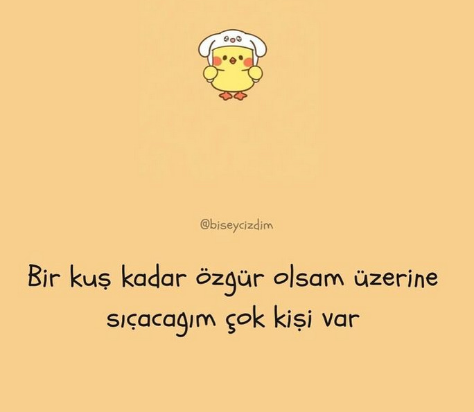 Kuş kadar özgür olsan ilk nereye uçmak isterdin?