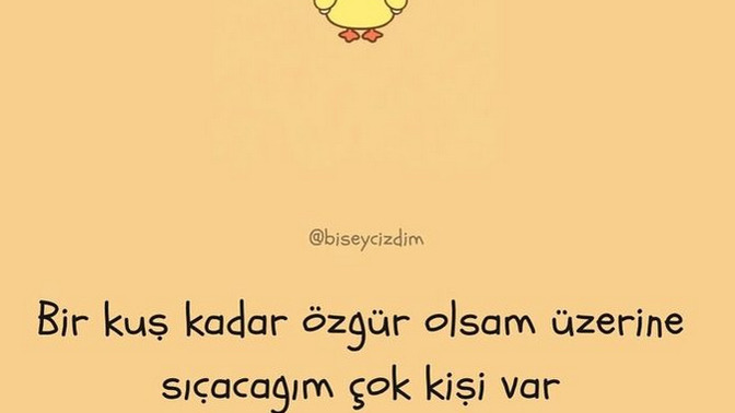 Kuş kadar özgür olsan ilk nereye uçmak isterdin?