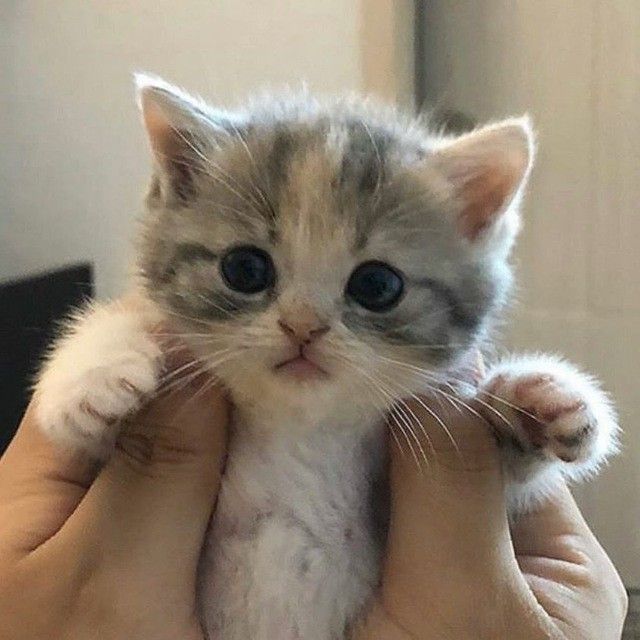 😍❤️