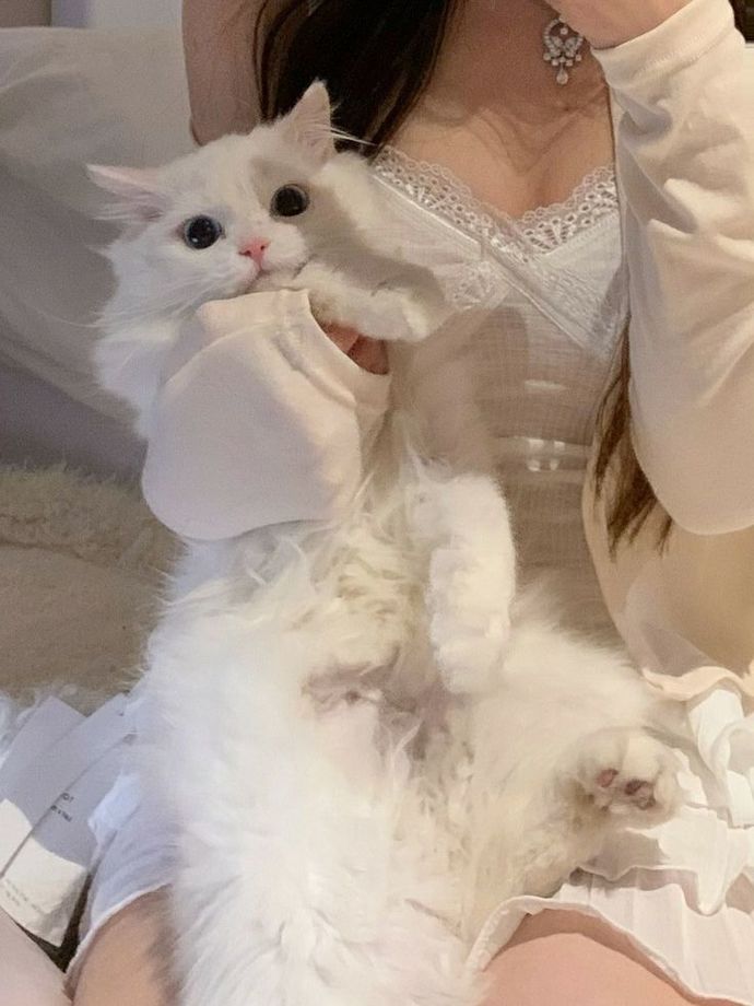 Kedi fotoğrafı paylaşır mısın?