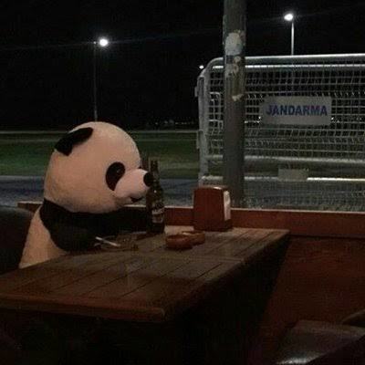 İçinizde hangi hayvanı barındırıyorsunuz?