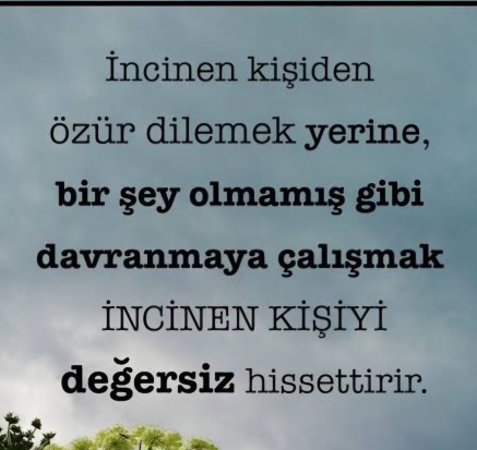 Haksız yere gazla tepki gösterirseniz özür diler misiniz?