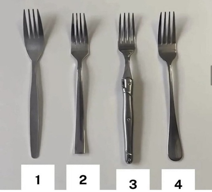 Kişilik testi! Hangi çatalı seçerdiniz?