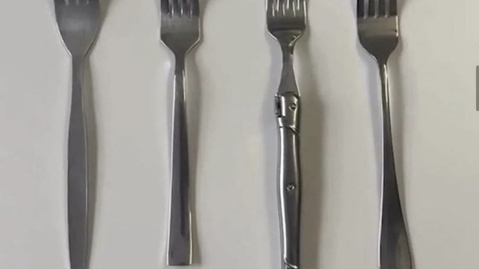Kişilik testi! Hangi çatalı seçerdiniz?